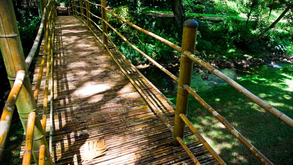 Kalaheo som omfatter en park og en bro