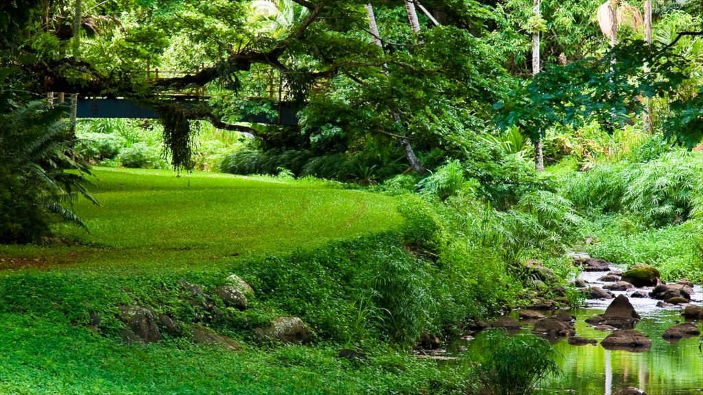 Kalaheo bevat een park en een rivier of beek