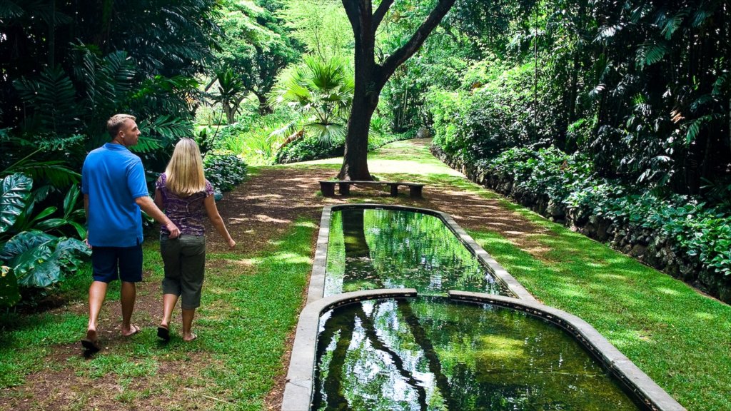 Kalaheo ofreciendo un parque y un estanque y también una pareja