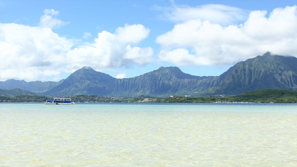 Kaneohe showing boating, general coastal views and mountains