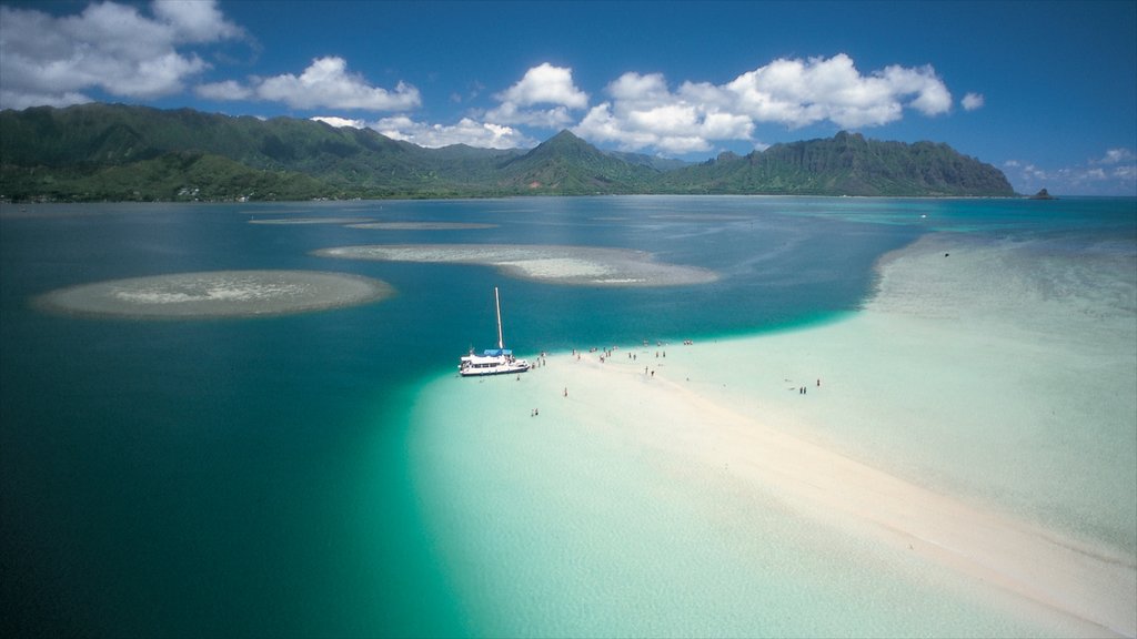 Kaneohe showing sailing and a sandy beach