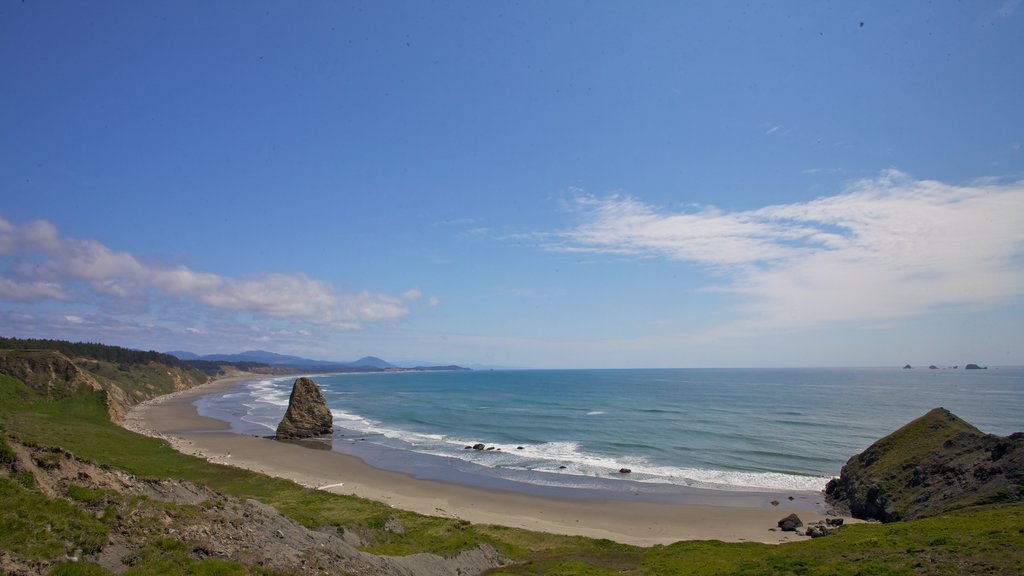 Port Orford showing landscape views and a beach