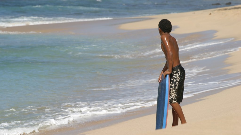 Makaha which includes a sandy beach and surfing as well as an individual male