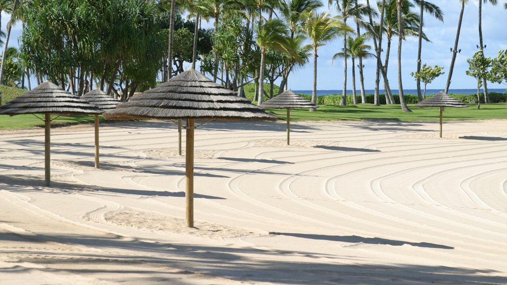 Makaha mostrando escenas tropicales, una playa y un hotel o resort de lujo