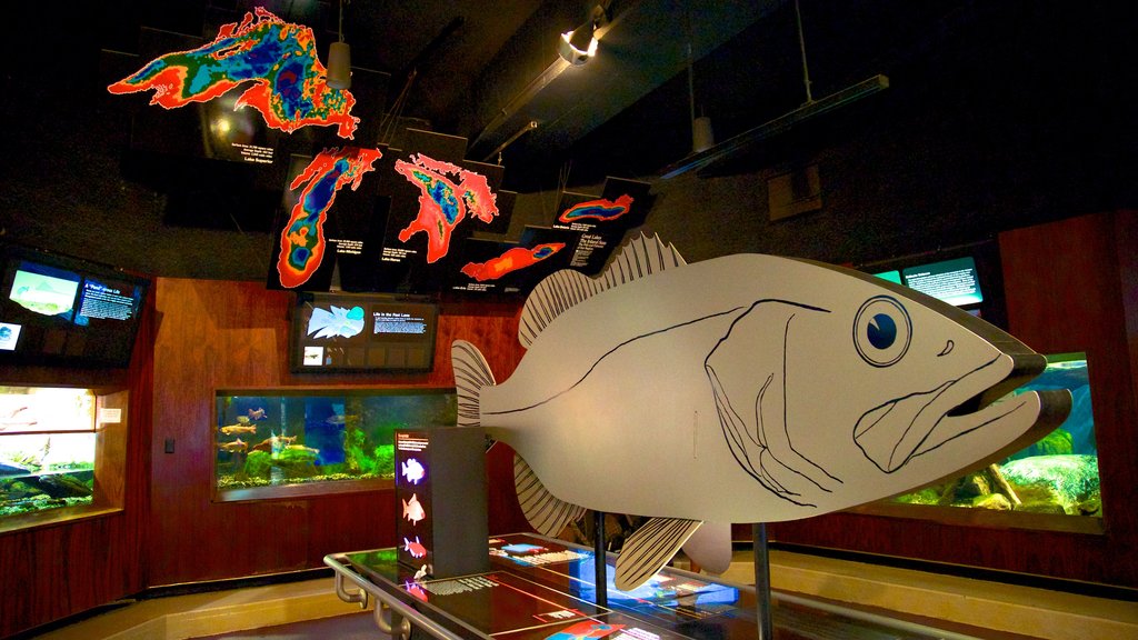 Aquarium of Niagara showing marine life and interior views