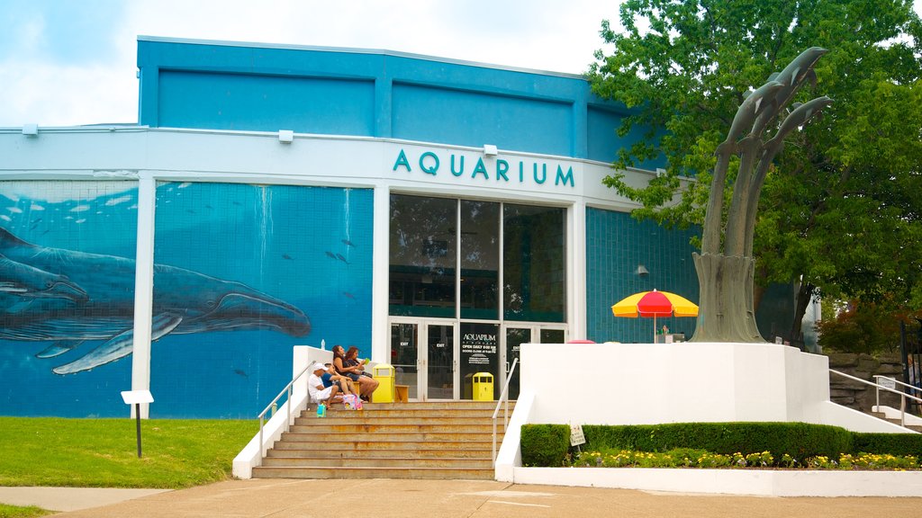 Aquarium of Niagara que incluye vida marina