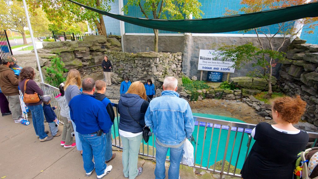 Aquarium of Niagara showing marine life as well as a large group of people