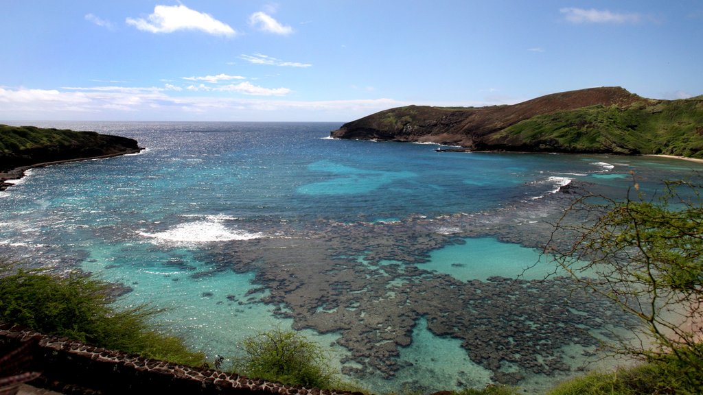 Hanauma Bay Nature Preserve