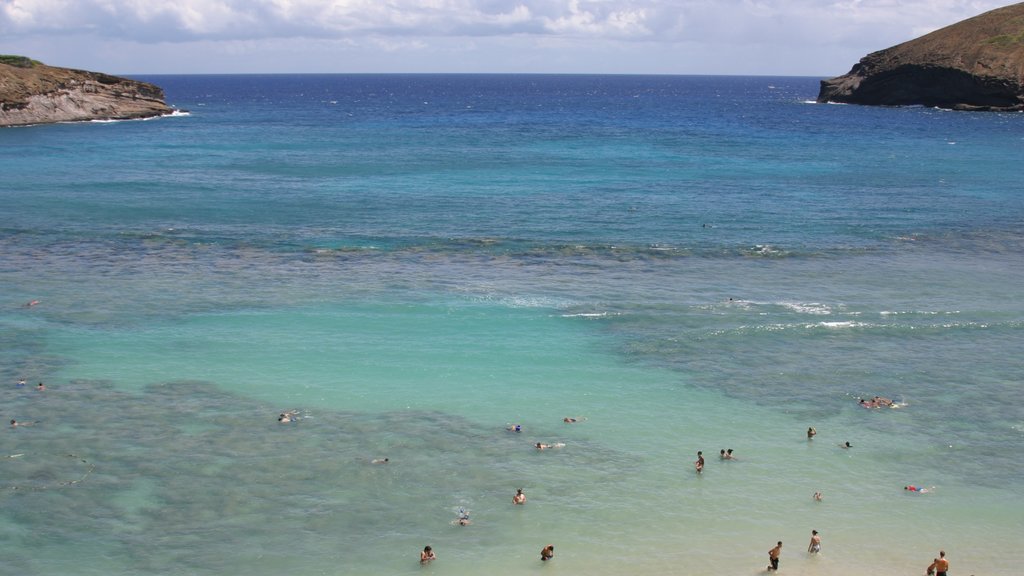 Hanauma Bay Nature Preserve mostrando natación, vista general a la costa y vista panorámica