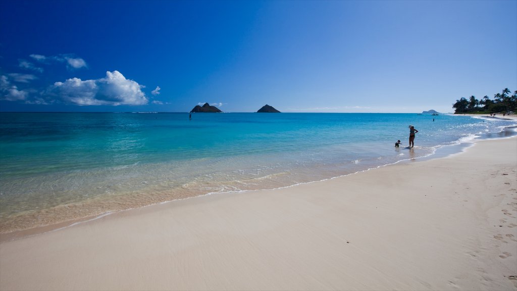 Kailua Beach showing a sandy beach and landscape views as well as a small group of people