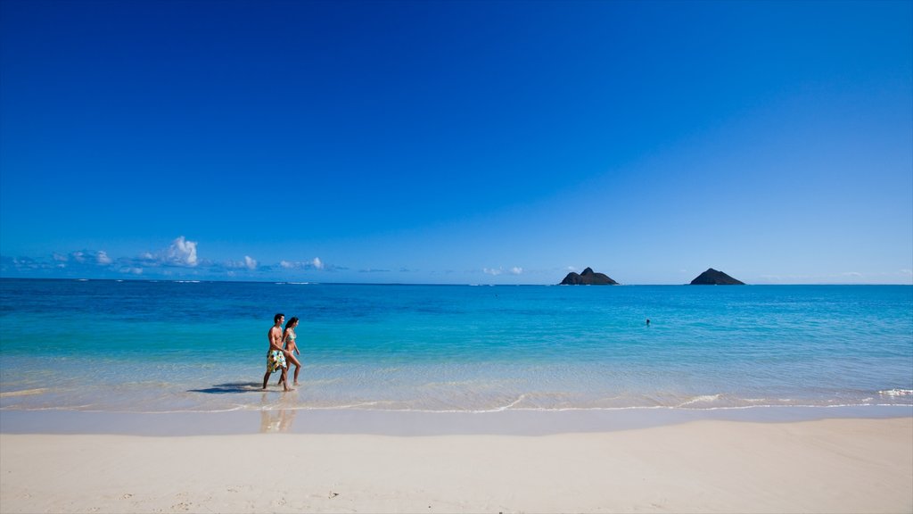 Kailua Beach ofreciendo una playa y vista panorámica y también una pareja