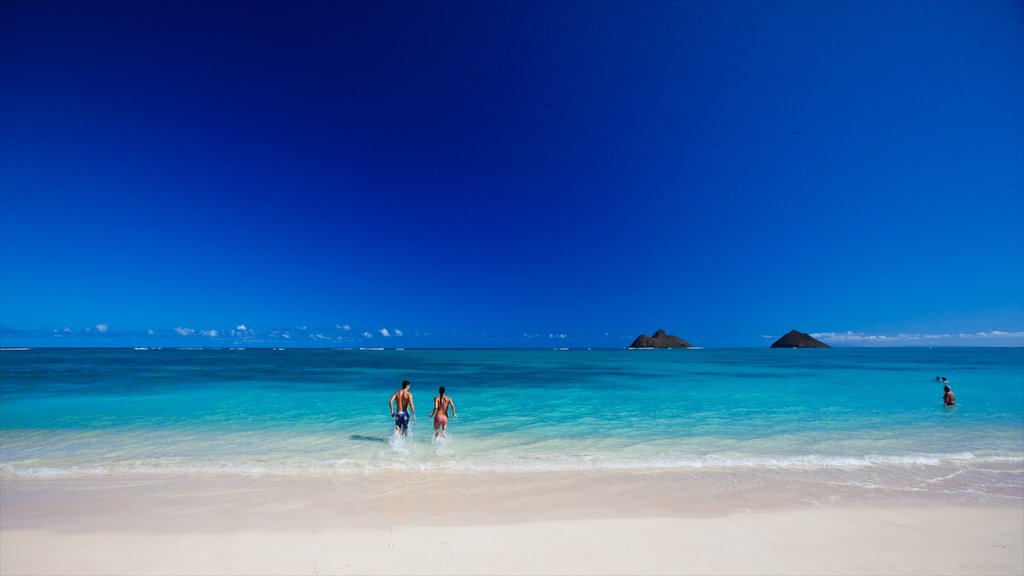 Kailua Beach som omfatter udsigt over landskaber, en strand og svømning