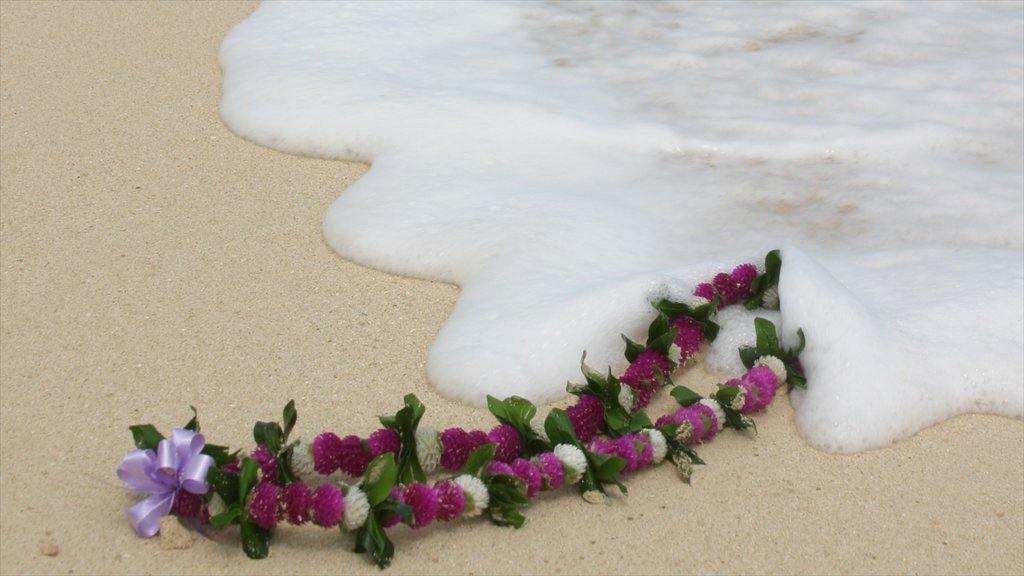 Waimanalo Beach mostrando flores y una playa de arena