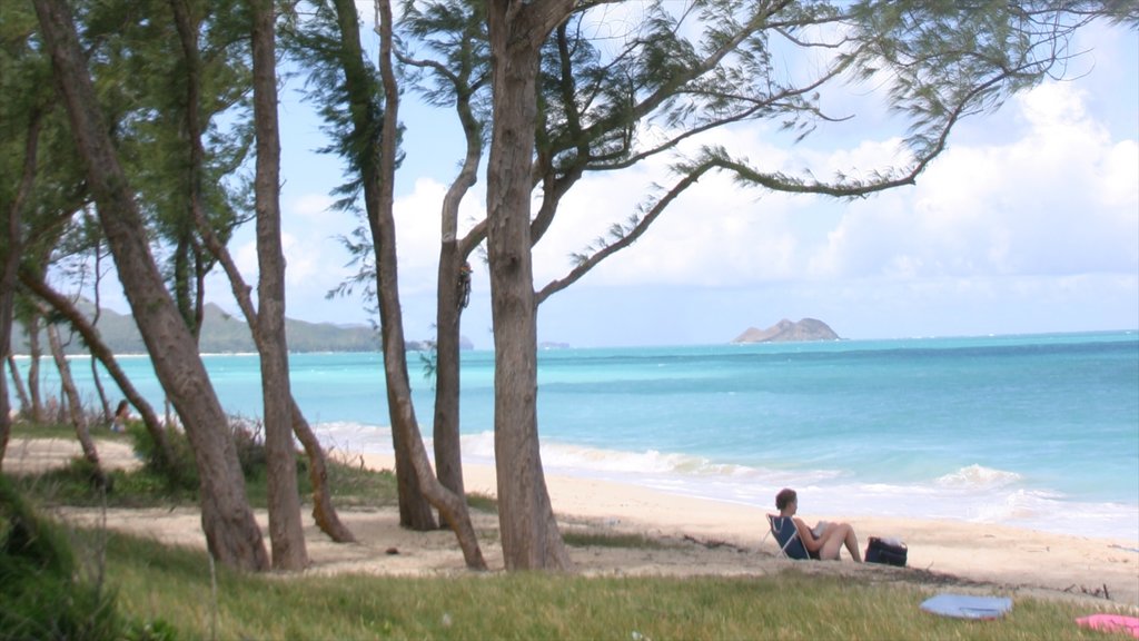 Waimanalo Beach showing landscape views and a sandy beach as well as an individual femail