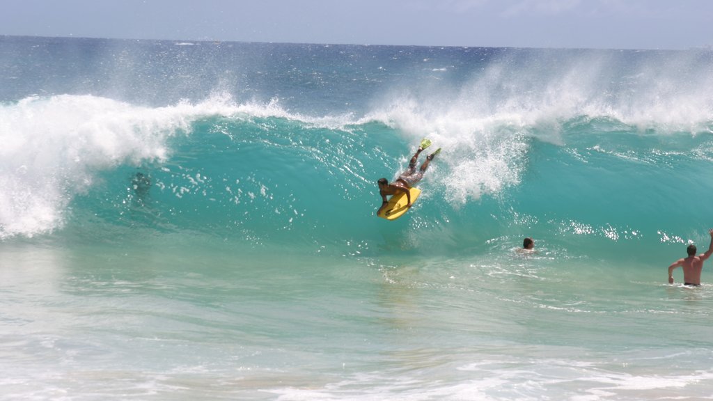 Makapuu Beach Park ofreciendo surf y olas y también un hombre