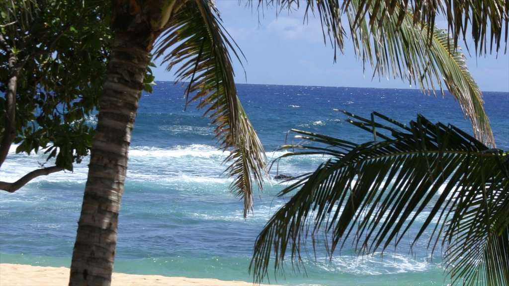 Makapuu Beach Park featuring tropical scenes, a sandy beach and landscape views