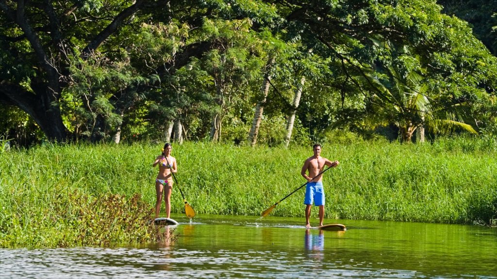 Waimea Bay som omfatter vandsportsaktiviteter, en park og udsigt over landskaber