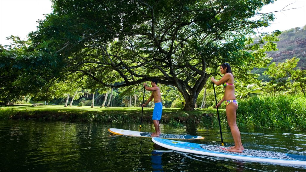 Waimea Bay que incluye una bahía o un puerto, vista panorámica y deportes acuáticos