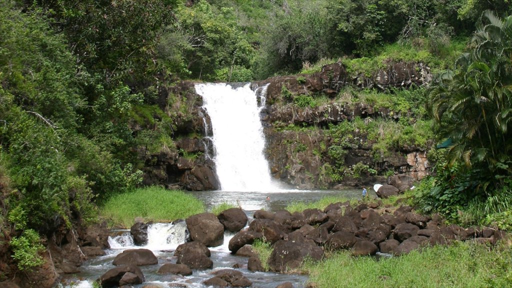 Waimea Bay mostrando un río o arroyo, una cascada y vista panorámica