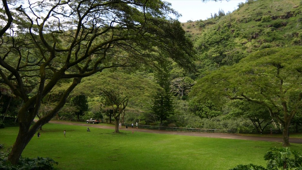 Waimea Bay ofreciendo vistas de paisajes y un jardín