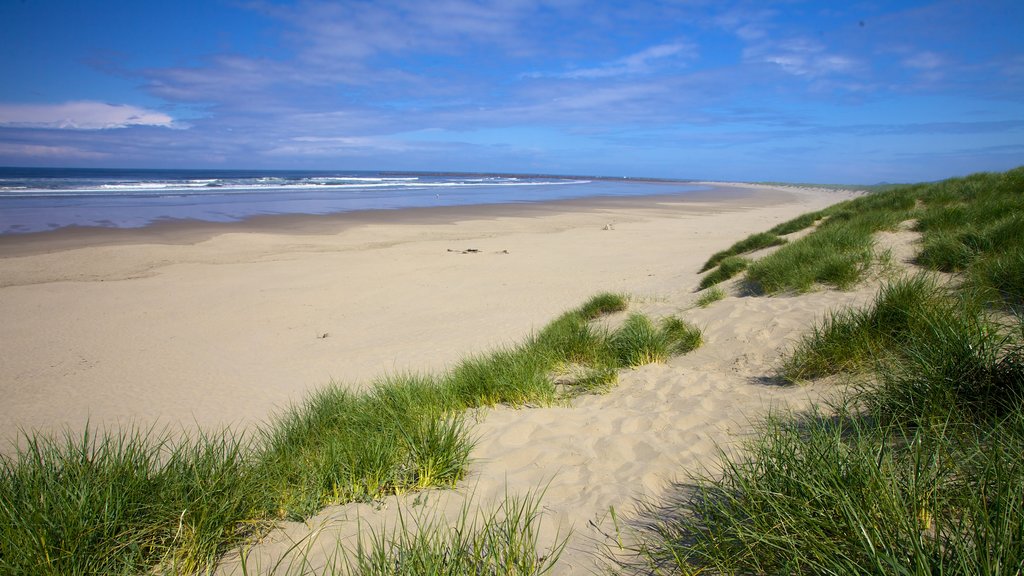 South Beach State Park which includes a sandy beach and landscape views