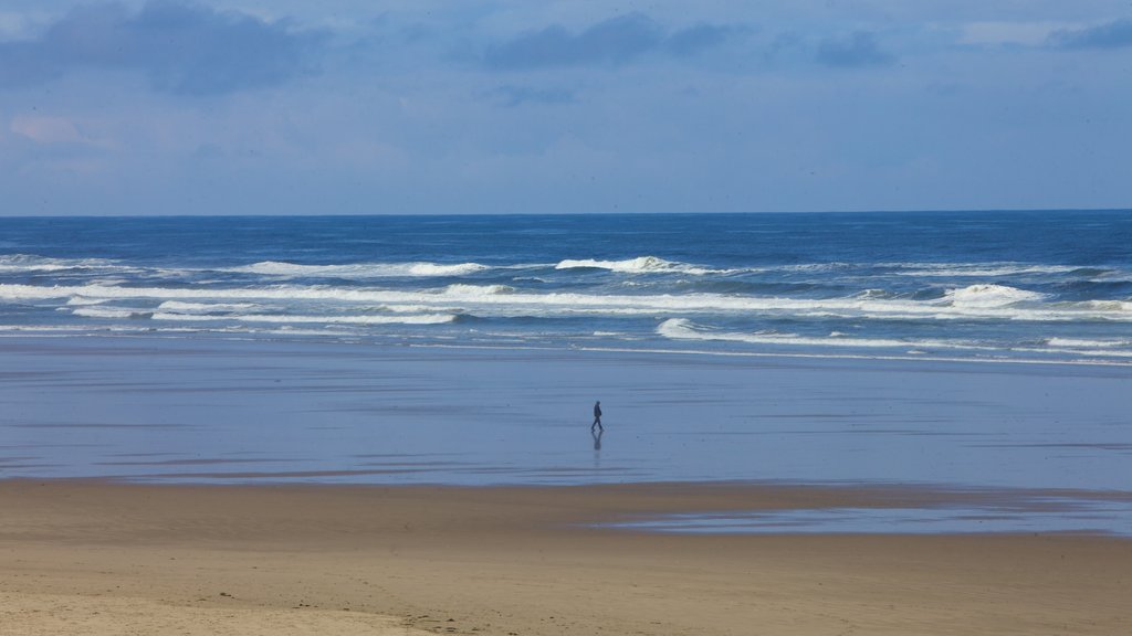 South Beach State Park which includes waves, a sandy beach and landscape views