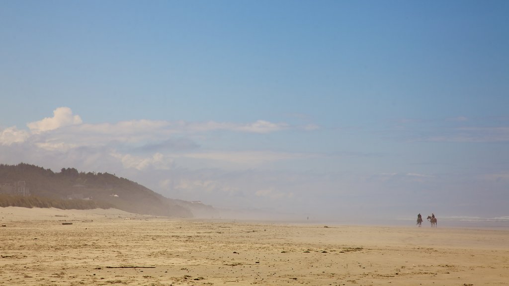 Parque Estatal de South Beach que incluye neblina o niebla, una playa de arena y vistas de paisajes