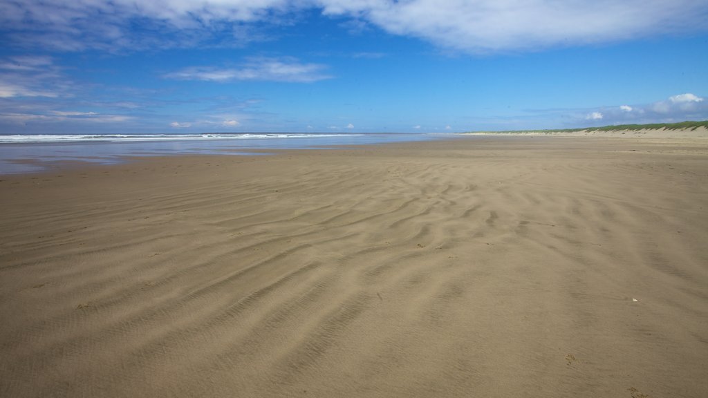 South Beach State Park montrant paysages et une plage de sable