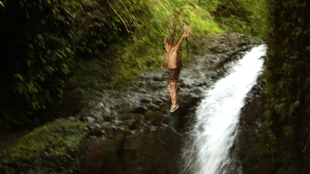 Waimea Falls Park which includes landscape views, swimming and a waterfall