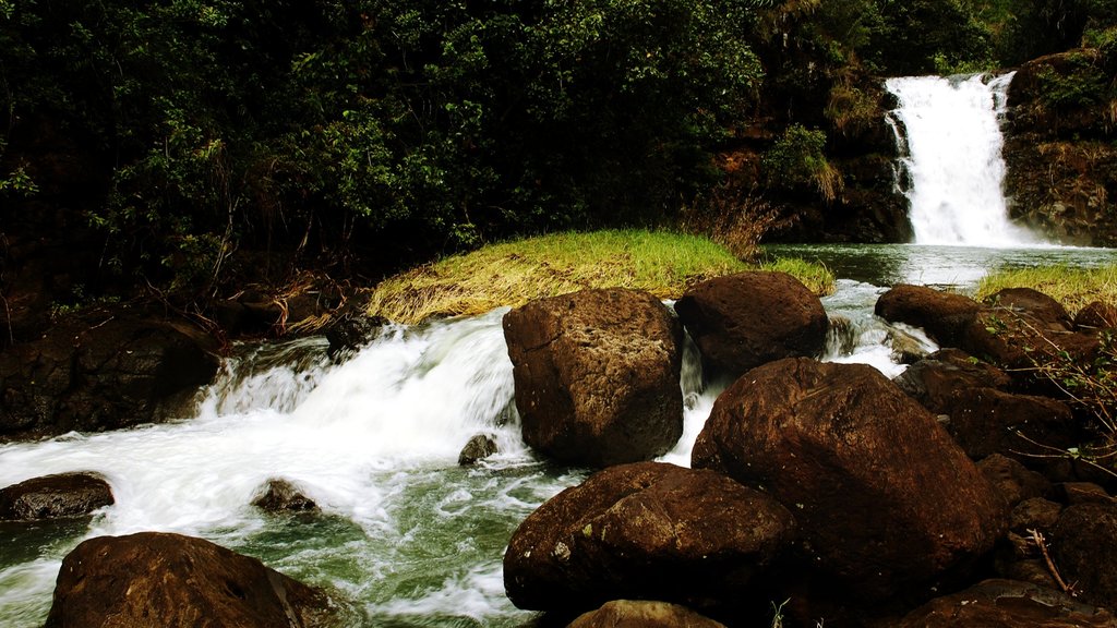 Waimea Falls Park which includes landscape views, a cascade and rapids