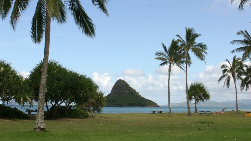 Kualoa Beach Park showing tropical scenes, a garden and landscape views