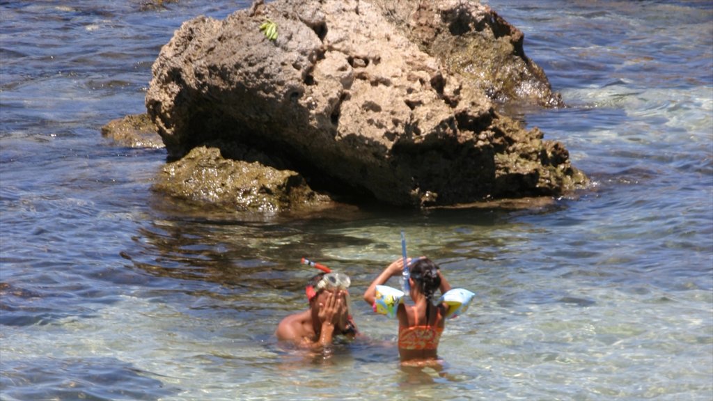 Pupukea Beach Park showing landscape views, swimming and snorkelling