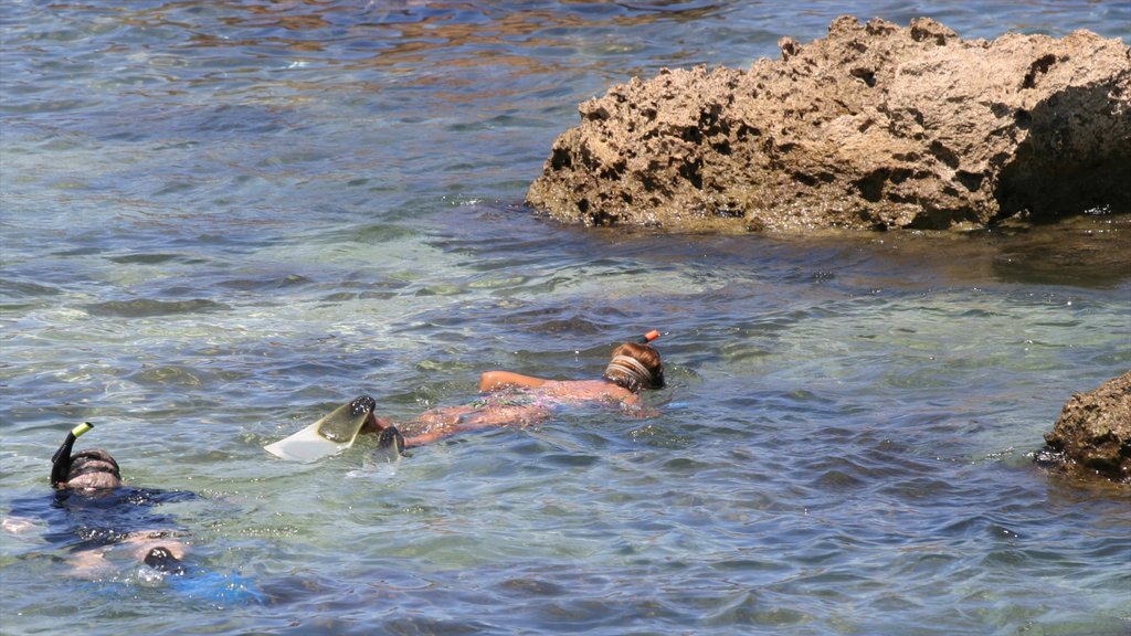 Pupukea Beach Park featuring rugged coastline and snorkelling as well as children