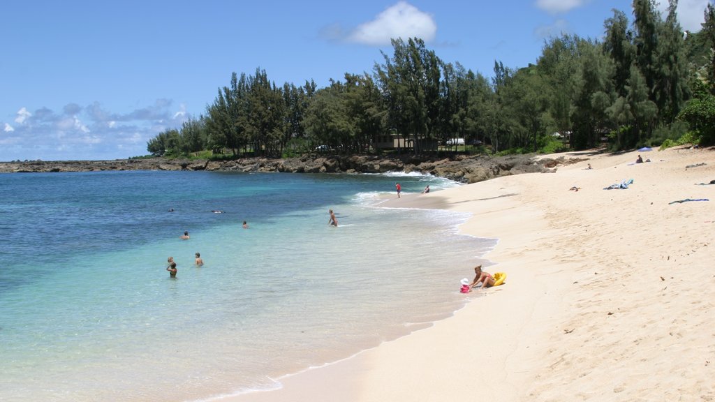 Pupukea Beach Park ofreciendo una playa de arena, vista panorámica y natación