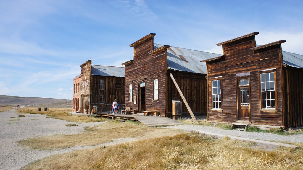 Bodie Historic District som viser fredfyldte omgivelser, en lille by eller en landsby og et hus