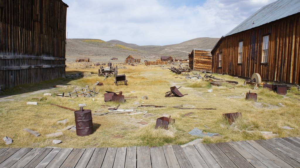 Bodie Historic District menunjukkan kota kecil atau desa, suasana damai dan pemandangan lanskap