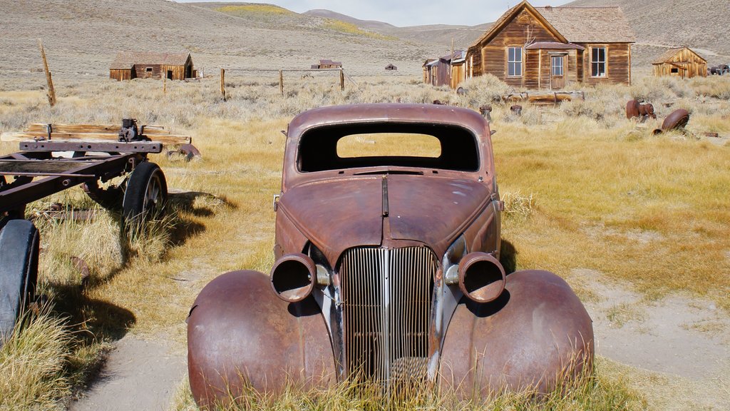 Bodie Historic District which includes tranquil scenes