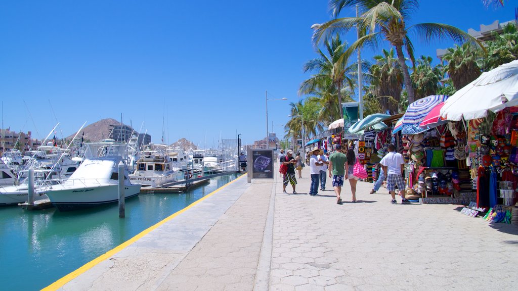 Marina Cabo San Lucas mostrando escenas urbanas, paseos en lancha y una ciudad costera