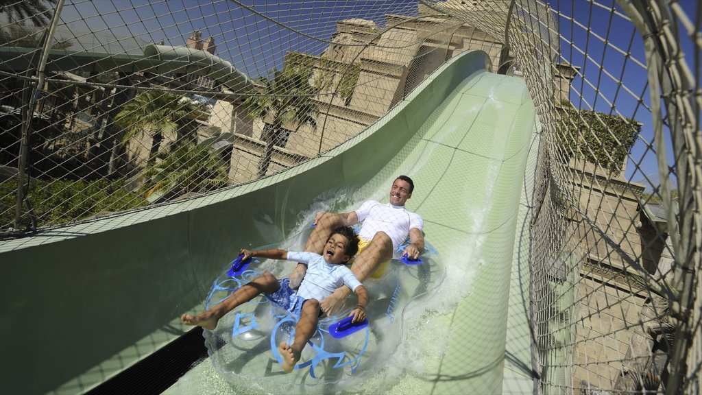 Aquaventure mostrando un parque acuático y paseos y también un hombre