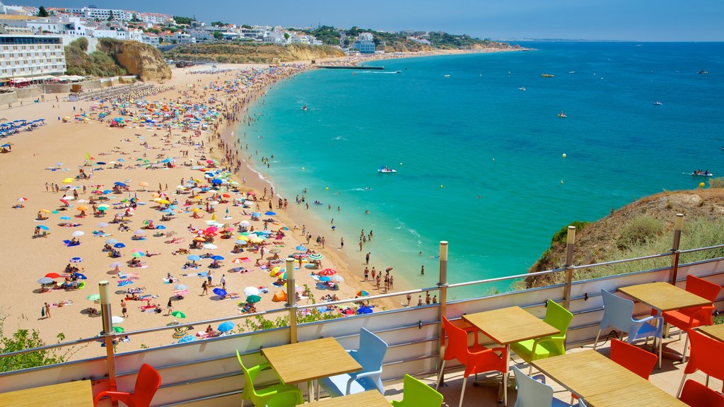 Albufeira showing swimming, a sandy beach and a coastal town