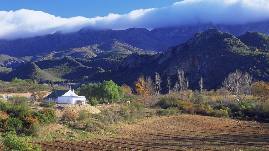 Oudtshoorn featuring mountains, landscape views and tranquil scenes