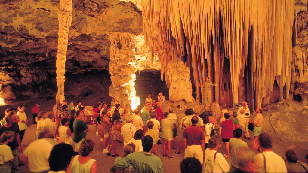 Oudtshoorn ofreciendo vistas interiores y cuevas y también un gran grupo de personas