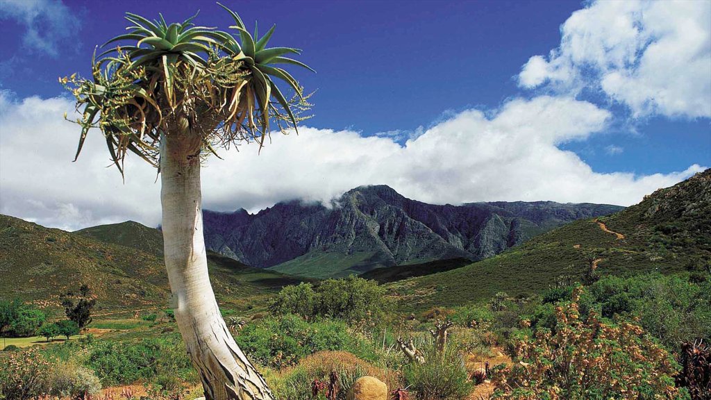 Worcester caracterizando montanhas e paisagem