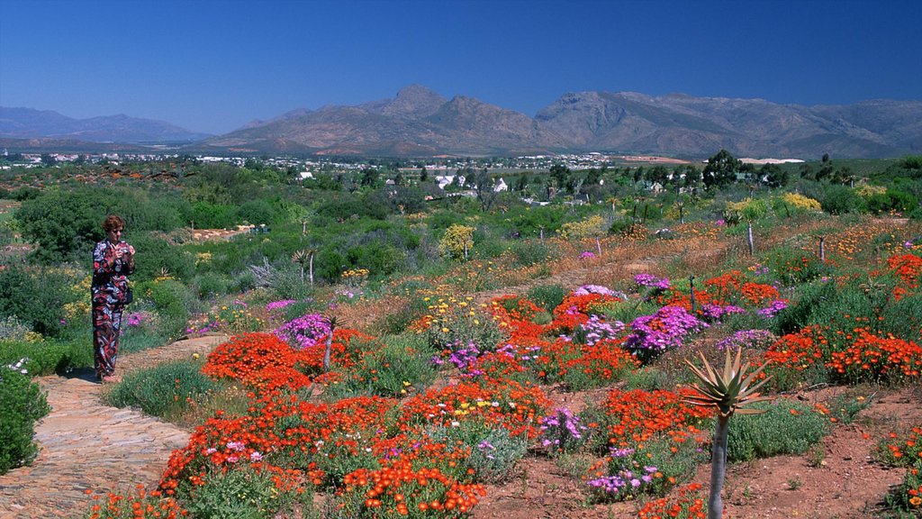 Worcester which includes wildflowers, flowers and landscape views