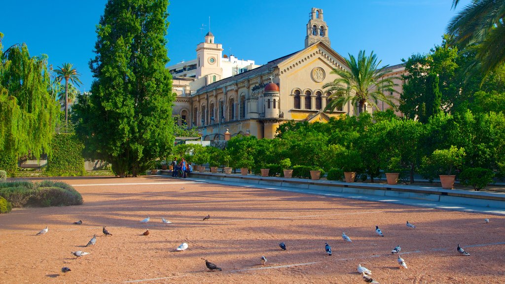 Centro de la ciudad de Valencia ofreciendo vida de las aves, un parque o plaza y una iglesia o catedral