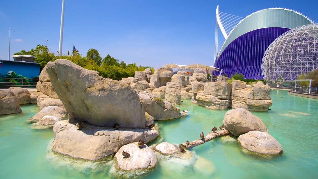 City of Arts and Sciences showing modern architecture and a pond