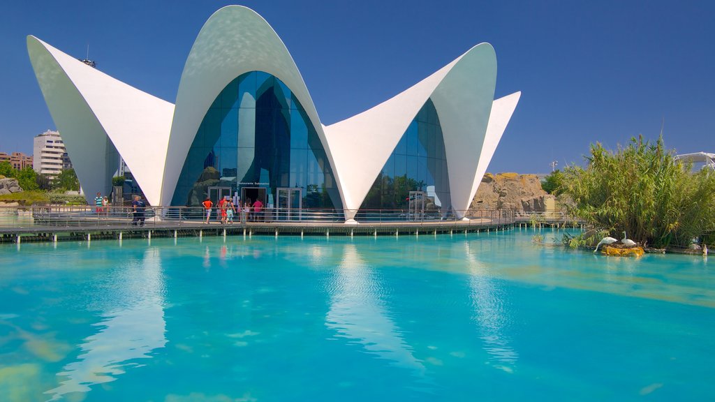 Ciudad de las Artes y las Ciencias que incluye una ciudad y arquitectura moderna