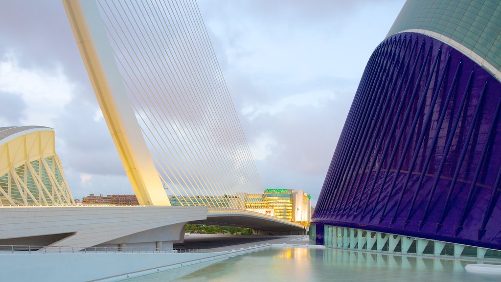 Ciudad de las Artes y las Ciencias ofreciendo arquitectura moderna y una ciudad