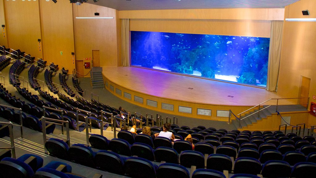 The Oceanografic Aquarium showing marine life and interior views