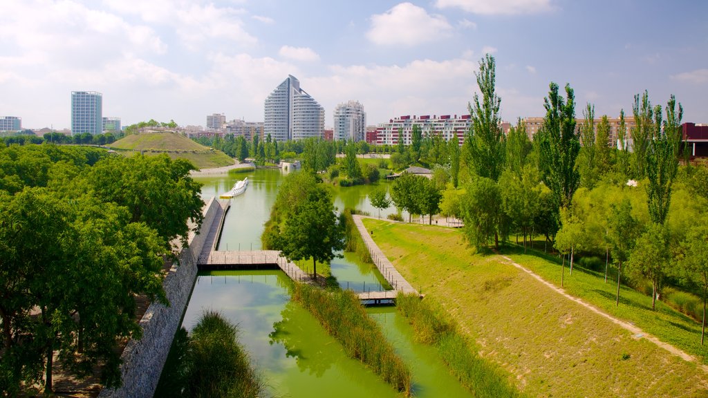 Bioparc Valencia Zoo showing a garden, zoo animals and a city